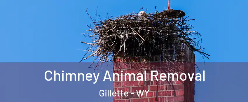 Chimney Animal Removal Gillette - WY