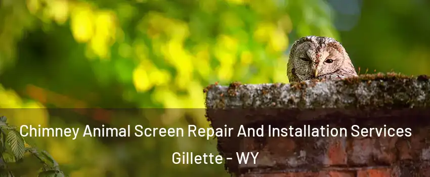  Chimney Animal Screen Repair And Installation Services Gillette - WY
