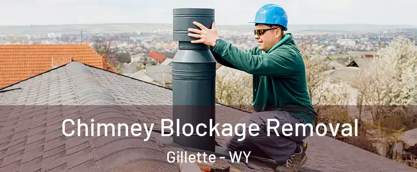  Chimney Blockage Removal Gillette - WY