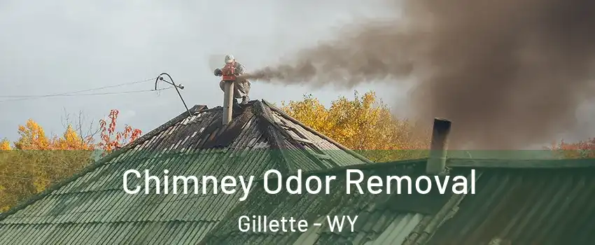  Chimney Odor Removal Gillette - WY