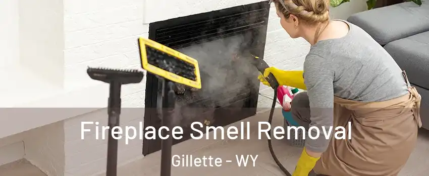 Fireplace Smell Removal Gillette - WY
