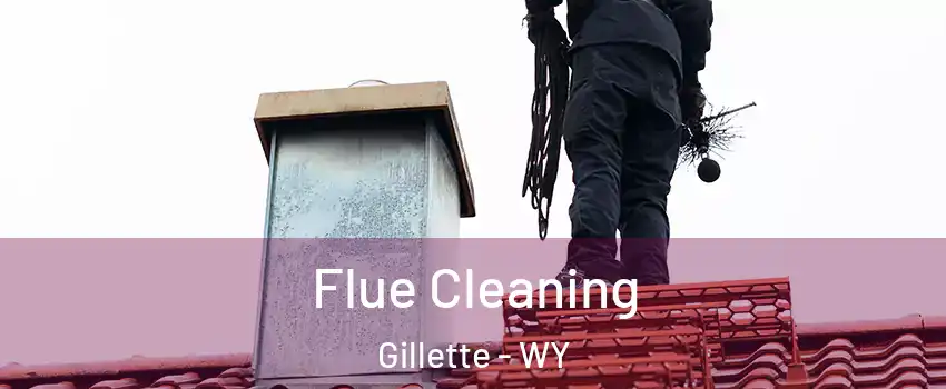  Flue Cleaning Gillette - WY