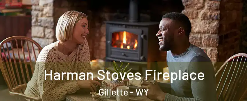  Harman Stoves Fireplace Gillette - WY