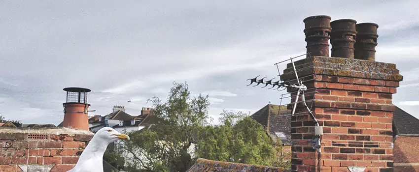 Chimney Cleaning And Restoration in Gillette, Wyoming