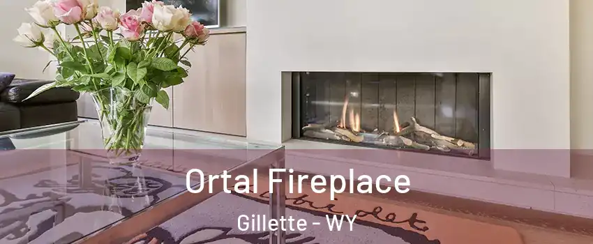 Ortal Fireplace Gillette - WY