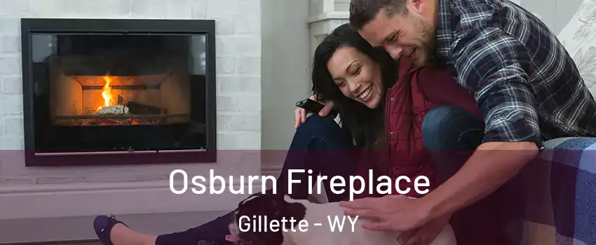  Osburn Fireplace Gillette - WY